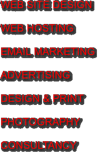 WEB SITE DESIGN