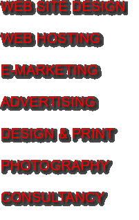 WEB SITE DESIGN